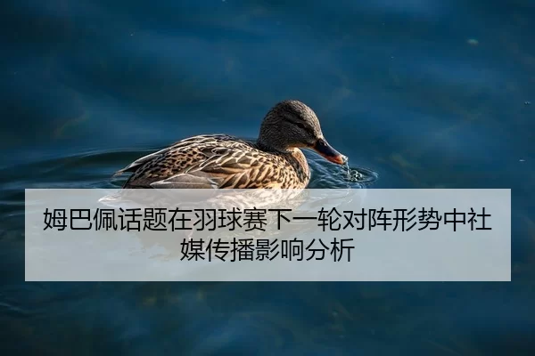 mu-ba-pei-hua-ti-zai-yu-qiu-sai-xia-yi-lun-dui-zhen-xing-shi-zhong-she-mei-chuan-bo-ying-xiang-fen-xi-2-625.jpg